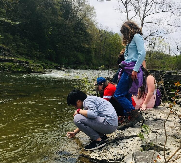 Addressing Pollution From the Classroom to the Streams this Spring